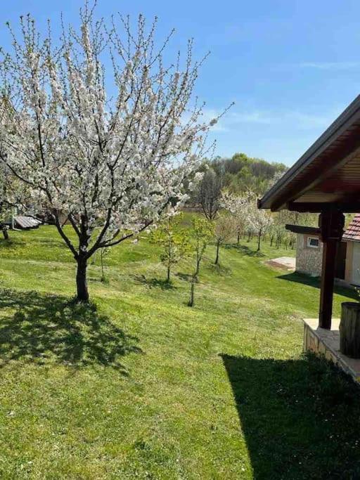 Villa Doma Samobor Exterior foto